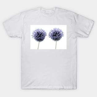 Echinops T-Shirt